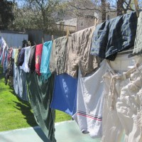 Frugal and Green: Consider the Comeback of the Clothesline